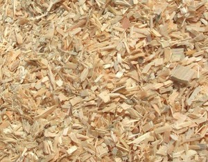 Wood Pulp Chips